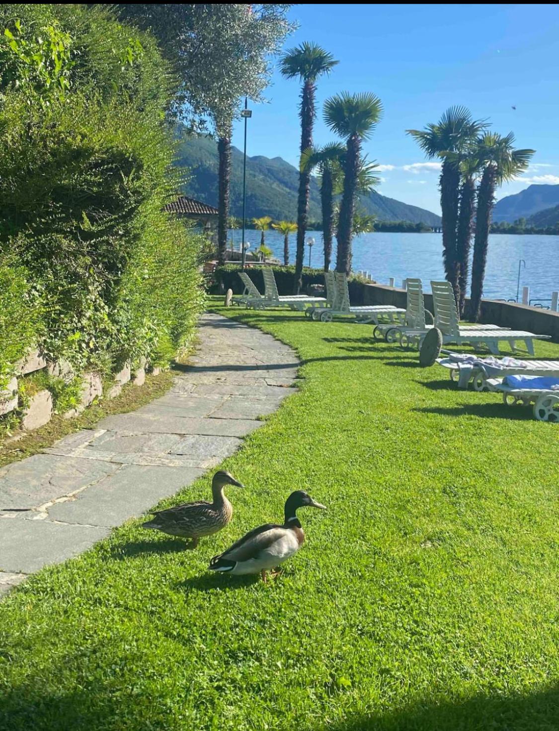 Luganolake Appartement